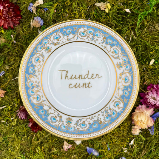 'Thunder cunt' profanity plate (5.5 in)
