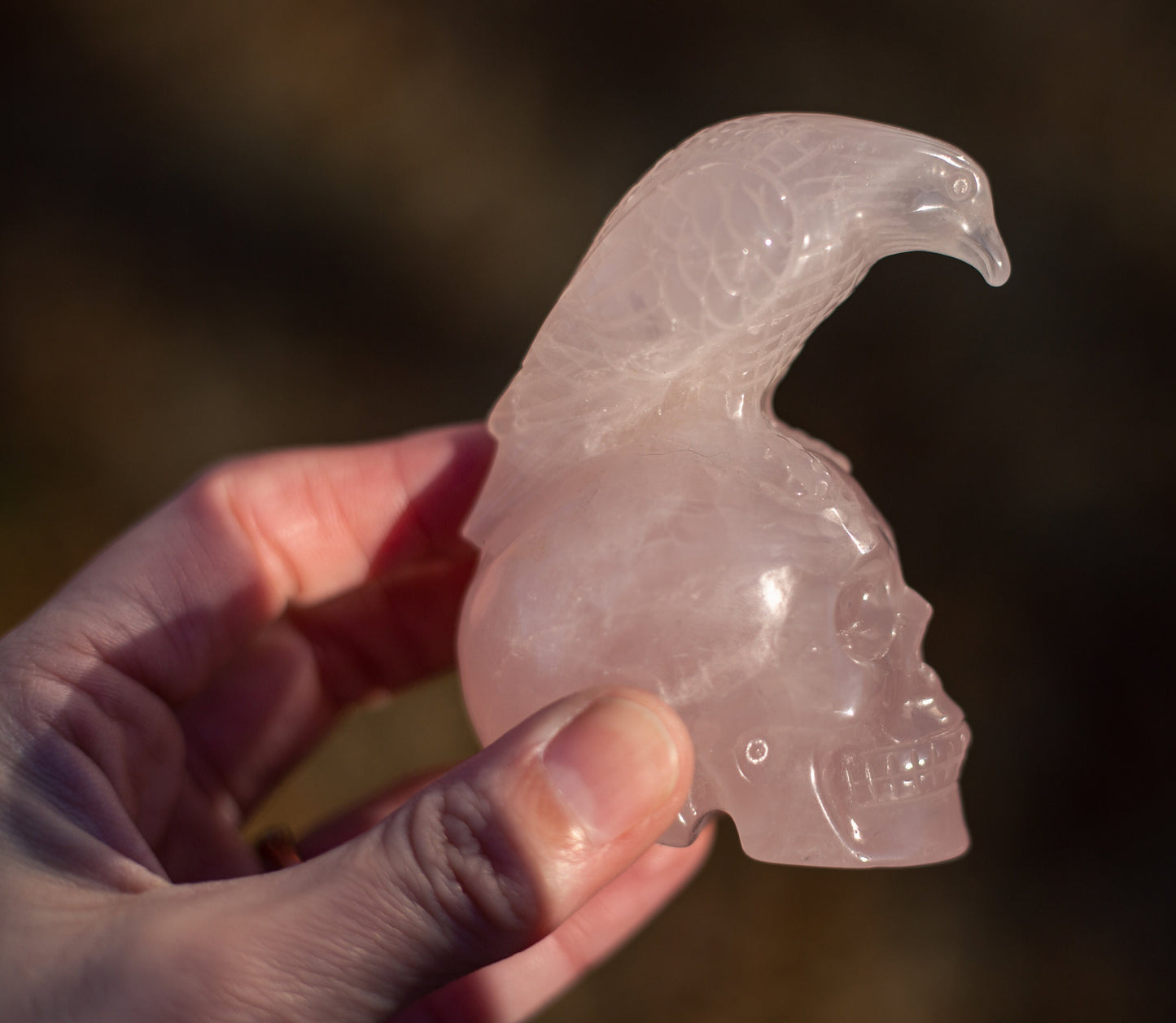 Natural Rose Quartz Skull with Bird Carving | High Quality Rose Quartz Skull with Eagle/Raven