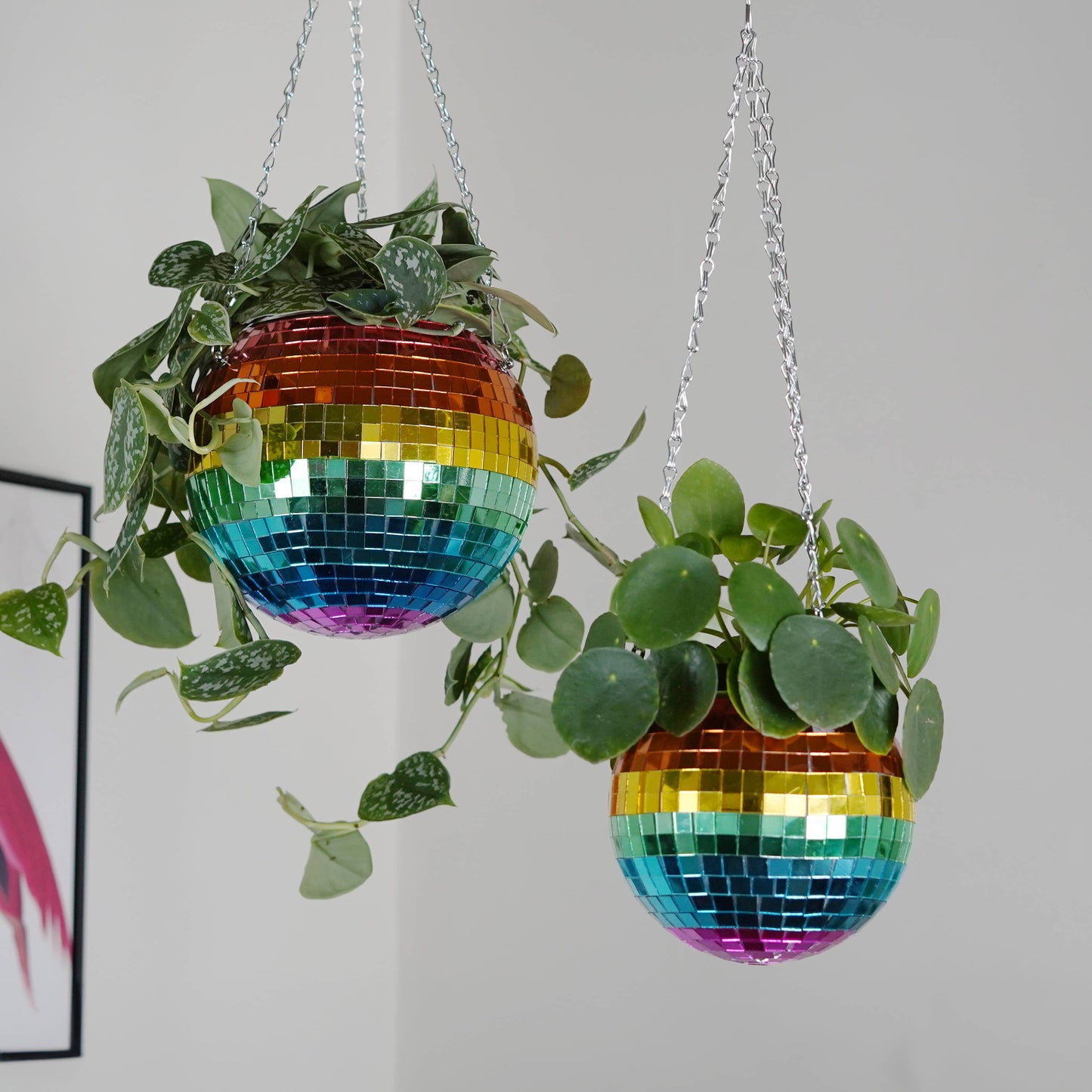 Disco Ball Hanging Planter - Rainbow (8in)