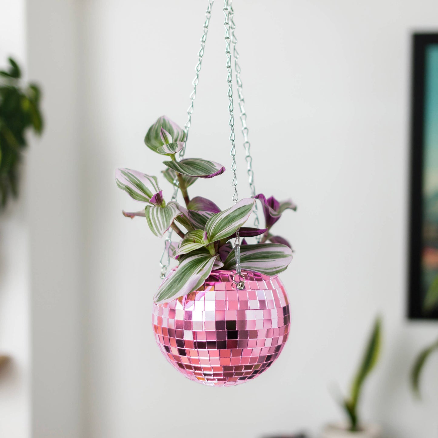 Disco Ball Hanging Planter - Pink (6in) 🪩