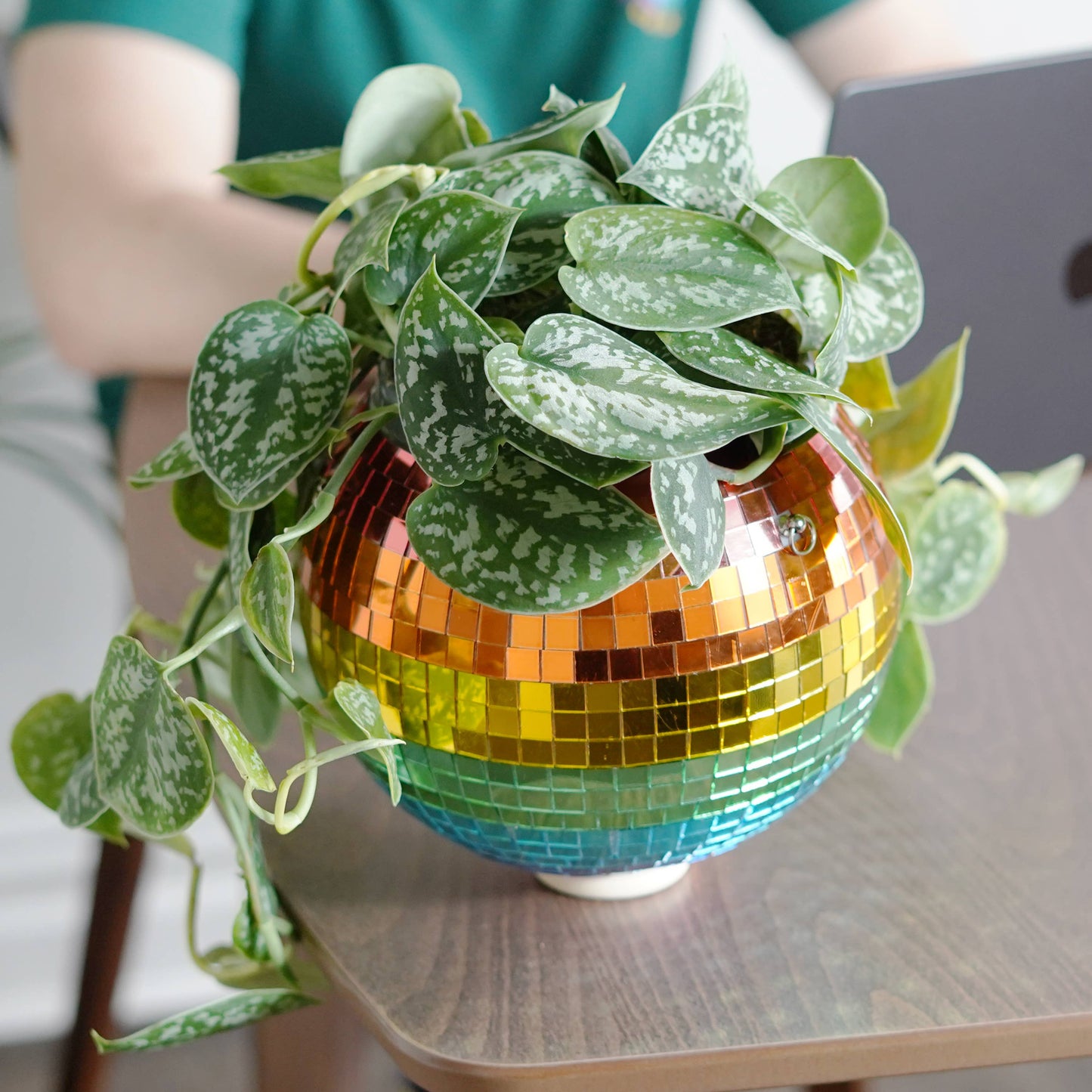 Disco Ball Hanging Planter - Rainbow (8in)