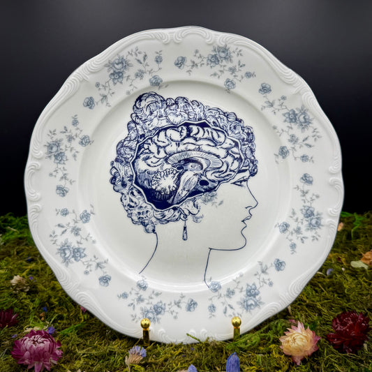 'She's got beauty & brains...' (10 in Plate)