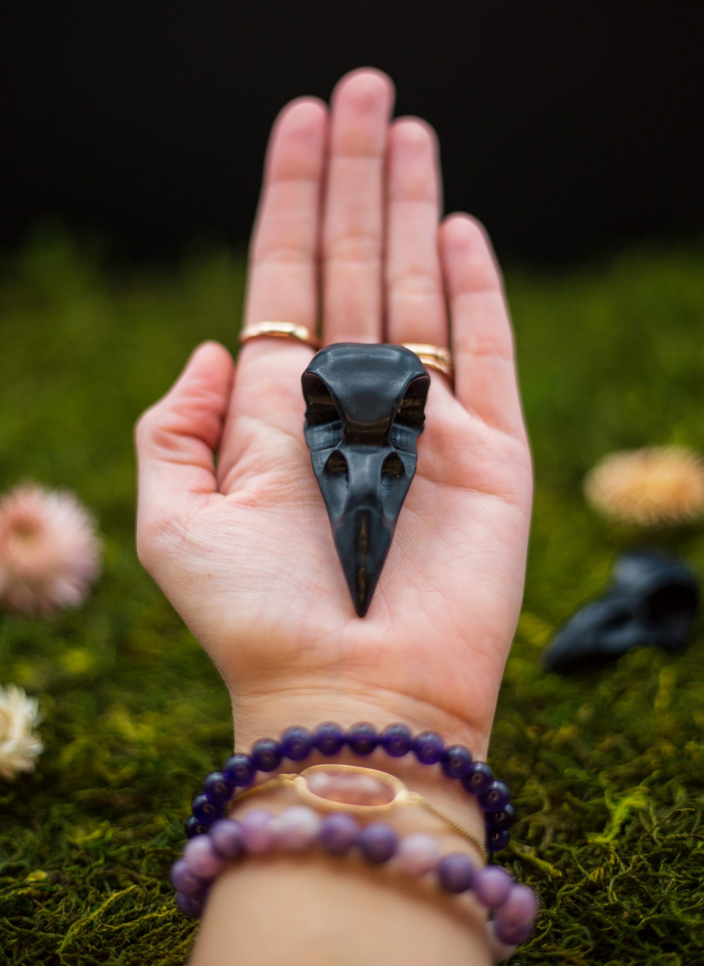 Black Obsidian Raven's Skull Carving | Crystal Bird Skull