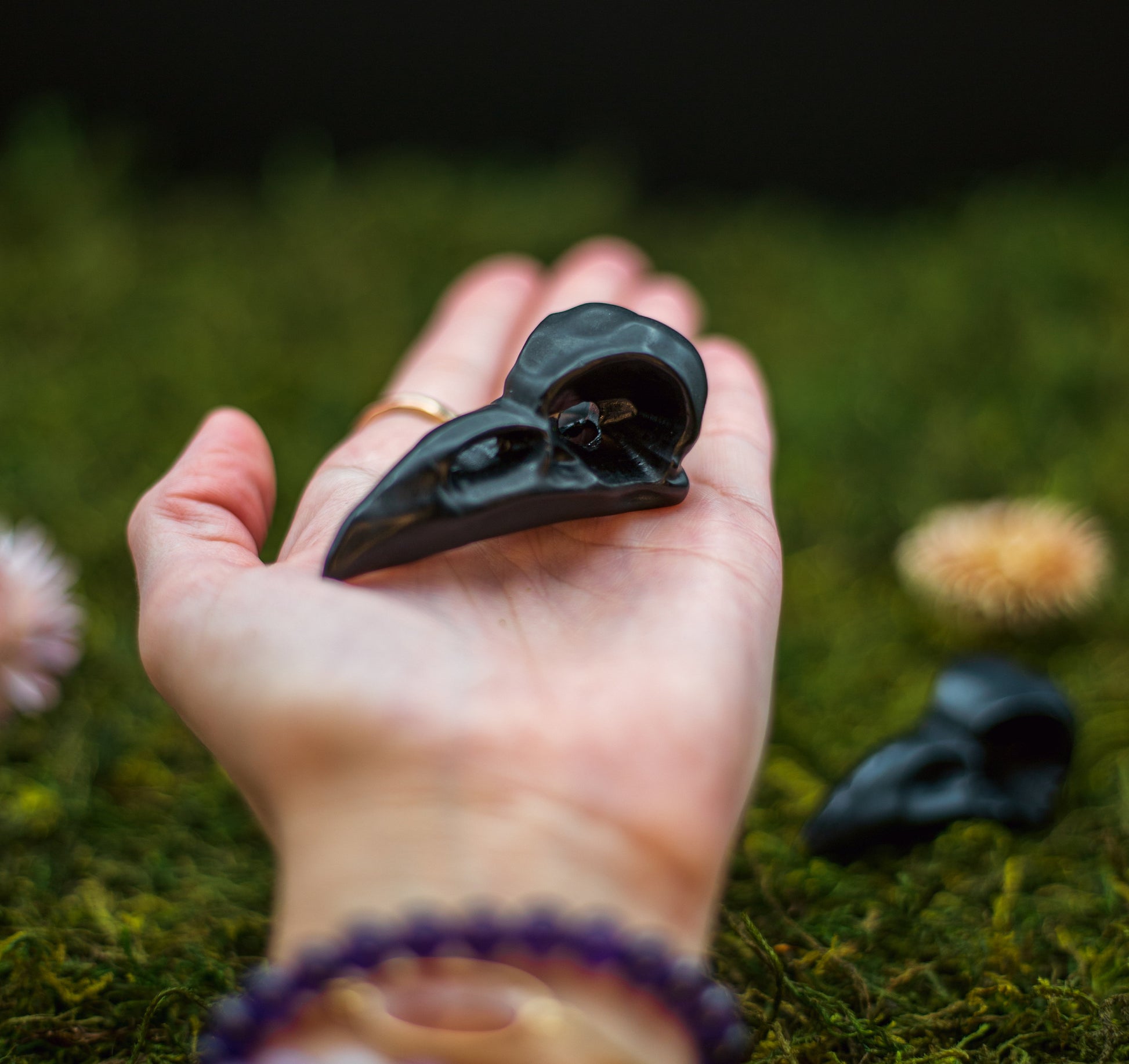 Black Obsidian Raven's Skull Carving | Crystal Bird Skull