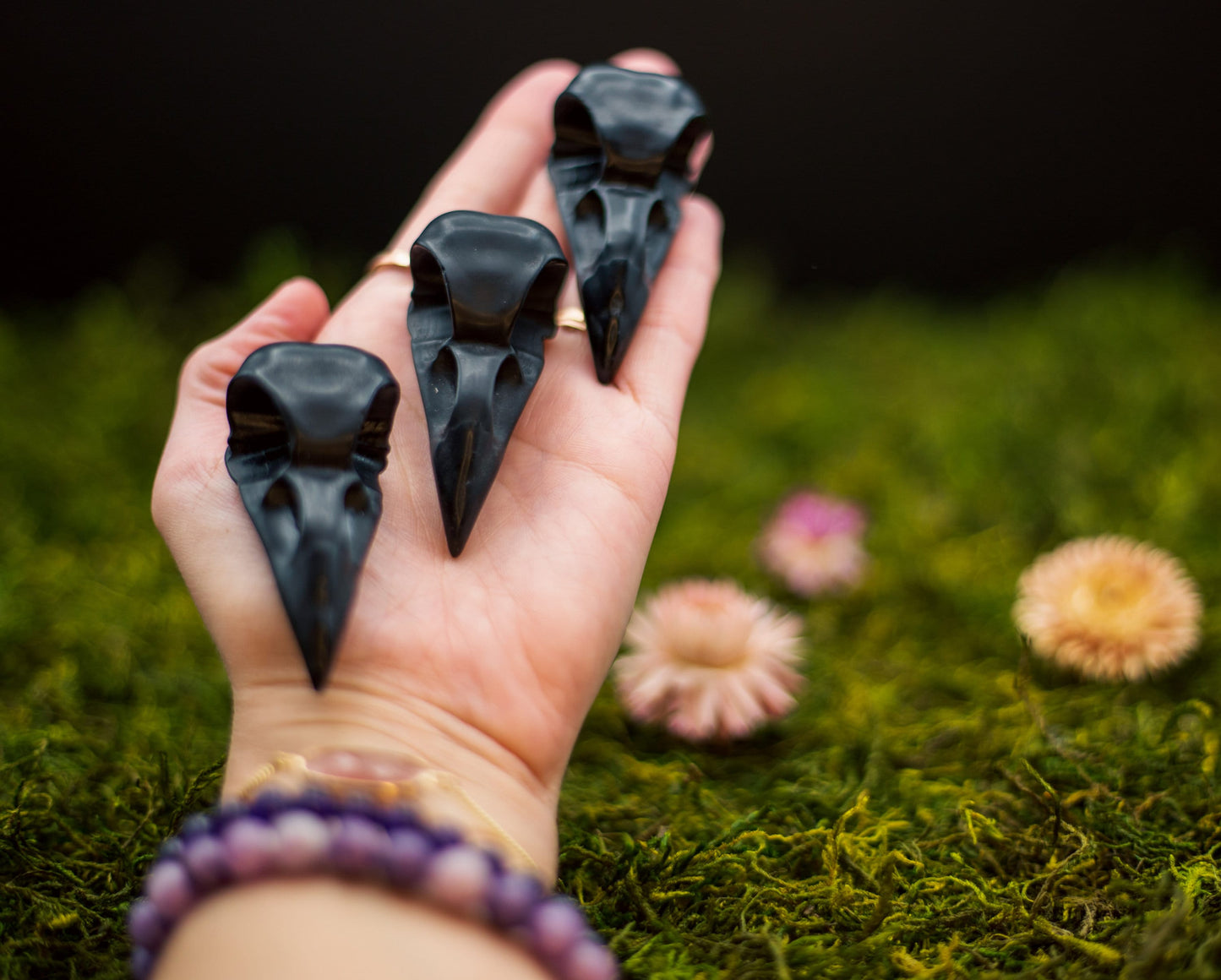 Black Obsidian Raven's Skull Carving | Crystal Bird Skull