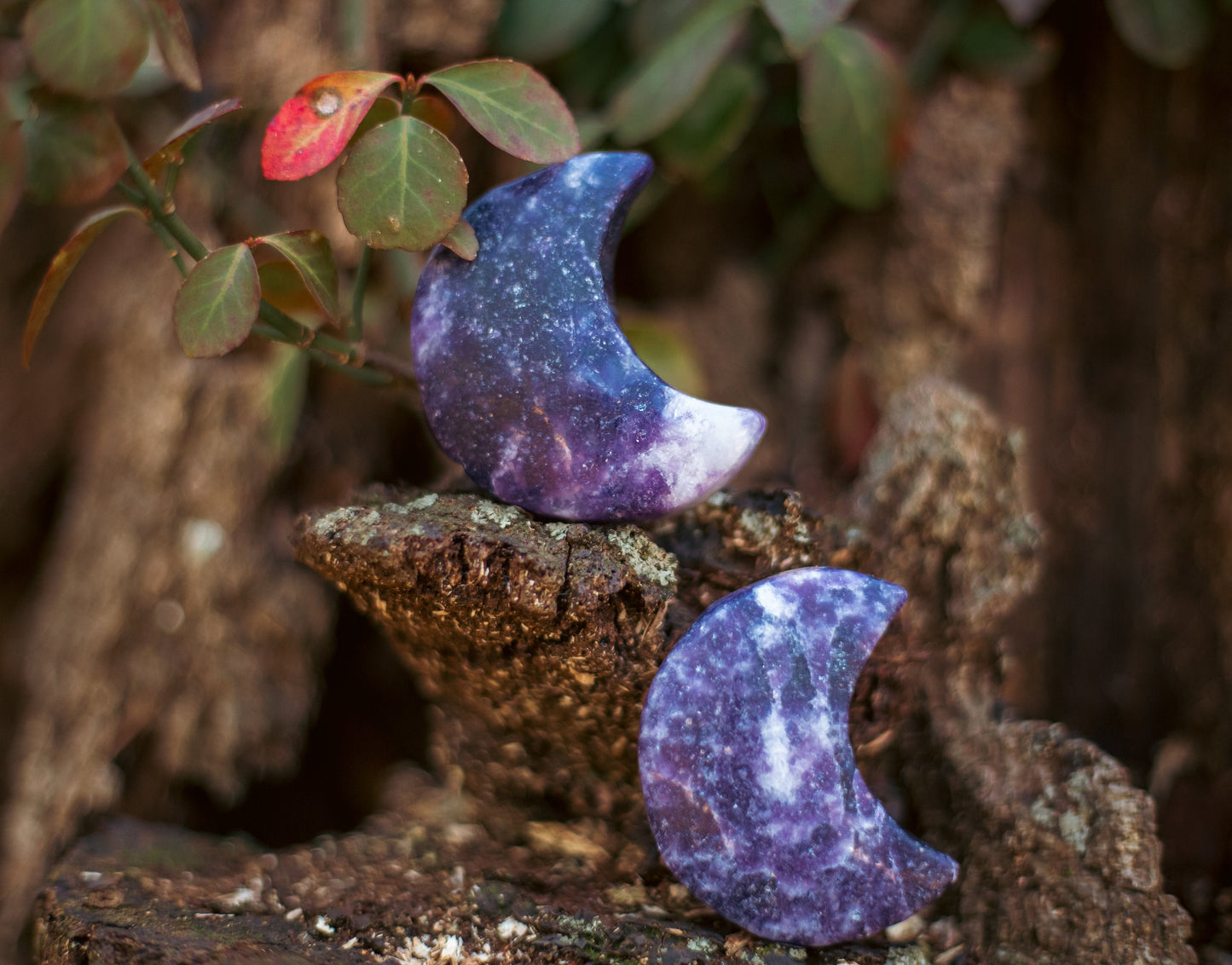 Lepidolite Moon Carving | Crescent Moon Crystal | Lepidolite Stone