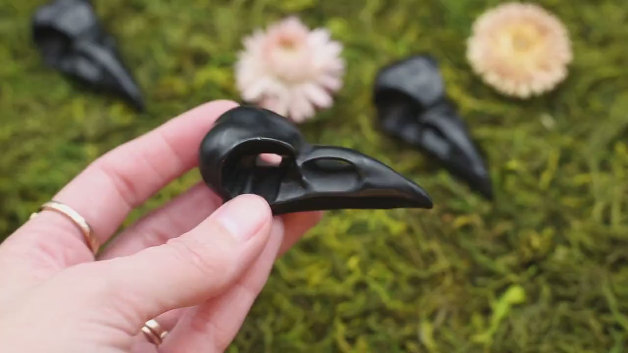 Black Obsidian Raven's Skull Carving | Crystal Bird Skull